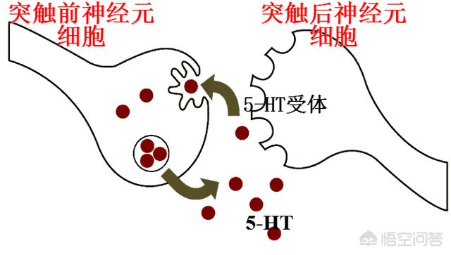 抑郁症患者如果不去治疗会有什么后果？  抑郁症 患者 后果 如果 治疗 第2张