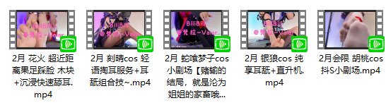 QQ图片20240323210908.png B站梵拉-Valar 2024年2月份爱发电会员福利 5v 12GB  第2张